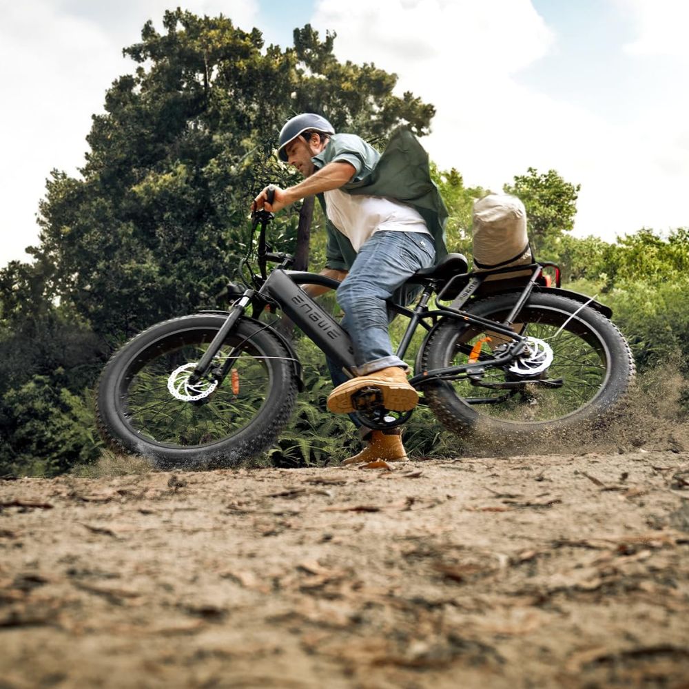 ENGWE E26 All-Terrain E-Bike: 250W, 48V, 16Ah battery, LCD, suspension fork & 7-speed gears