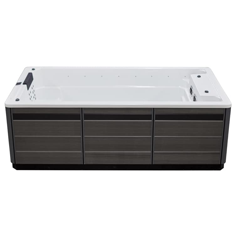 AWT AQART Design-SwimSpa für 4 Personen: Exklusive Whirlpool-Pool-Kombination