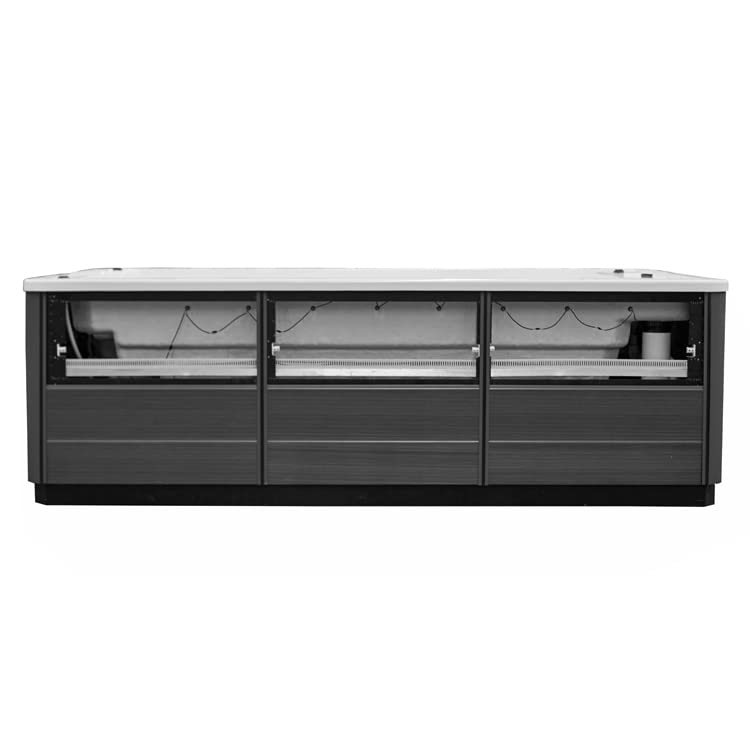 AWT AQART Design-SwimSpa für 4 Personen: Exklusive Whirlpool-Pool-Kombination