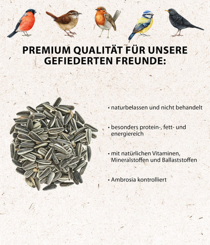 Dehner Natura Premium-Ganzjahres-Wildvogelfutter: Sonnenblumenkerne (5kg)